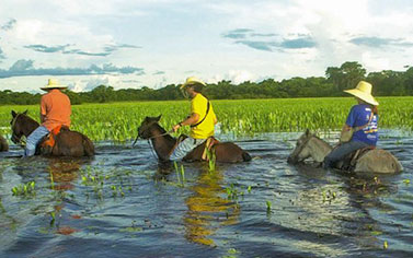 Riding across water bodies on horses