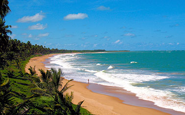 Golden Beaches of Brazil are a huge tourist attraction