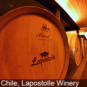Lapostolle Winery serves some of the best wines in Chile