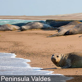 Peninsula Valdes is a wildlife highlight of Argentina
