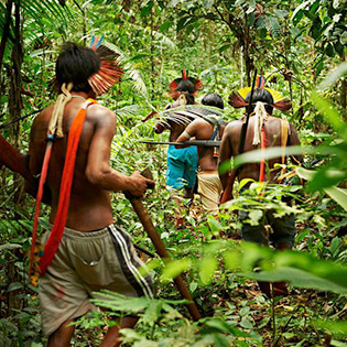 Natives taking a walk across the Amazon Rainforest