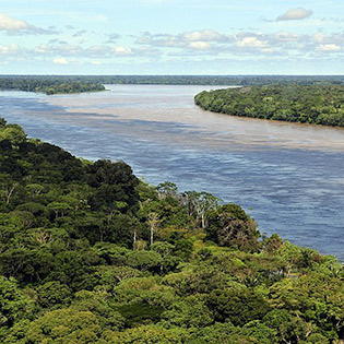 Manaus is famous for its amazing rainforests