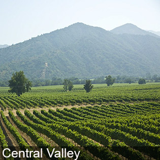 The Central Valley is famous for fruit and grape production