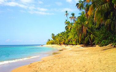 The Caribbean Islands have some beautiful beaches