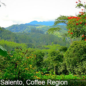 Salento is famous for its coffee production