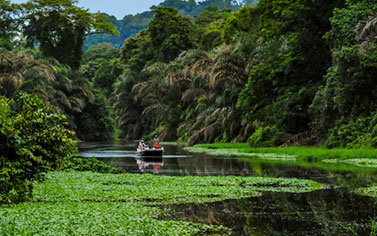 Costa Rica is famous for Eco Adventure tours