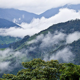 The Monteverde Cloud Forest Reserve is famous in Costa Rica