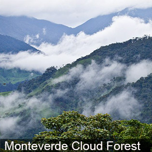 The Monteverde Cloud Forest Reserve in Costa Rica