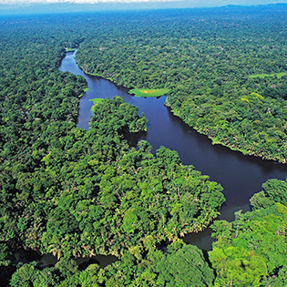 Tortuguero is a tropical forest crisscrossed by rivers