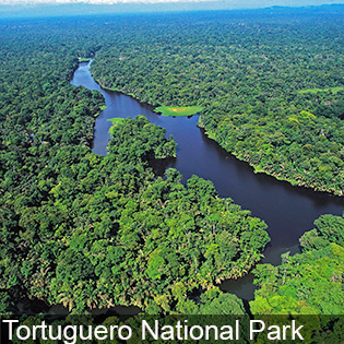 Tortuguero is a thick tropical forest crisscrossed by rivers