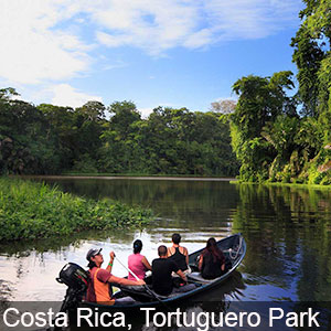 Exploring the Tortuguero Park in Costa Rica by boat