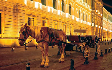 Horse and carriage on the streets of Quito, Ecuador