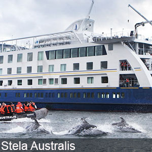 Stella Australis is a most preferred cruise liner