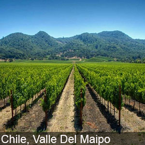 Valle De Maipo in Chile is known for its winery